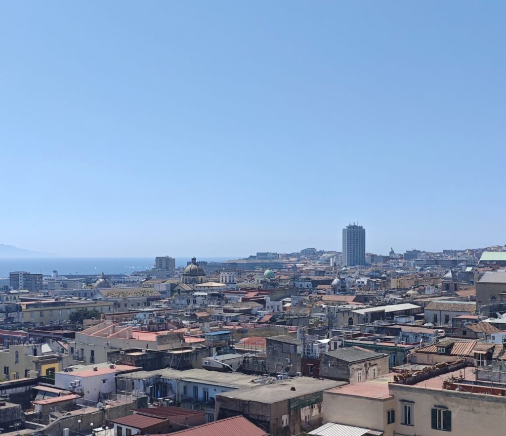 Napoli dai tetti